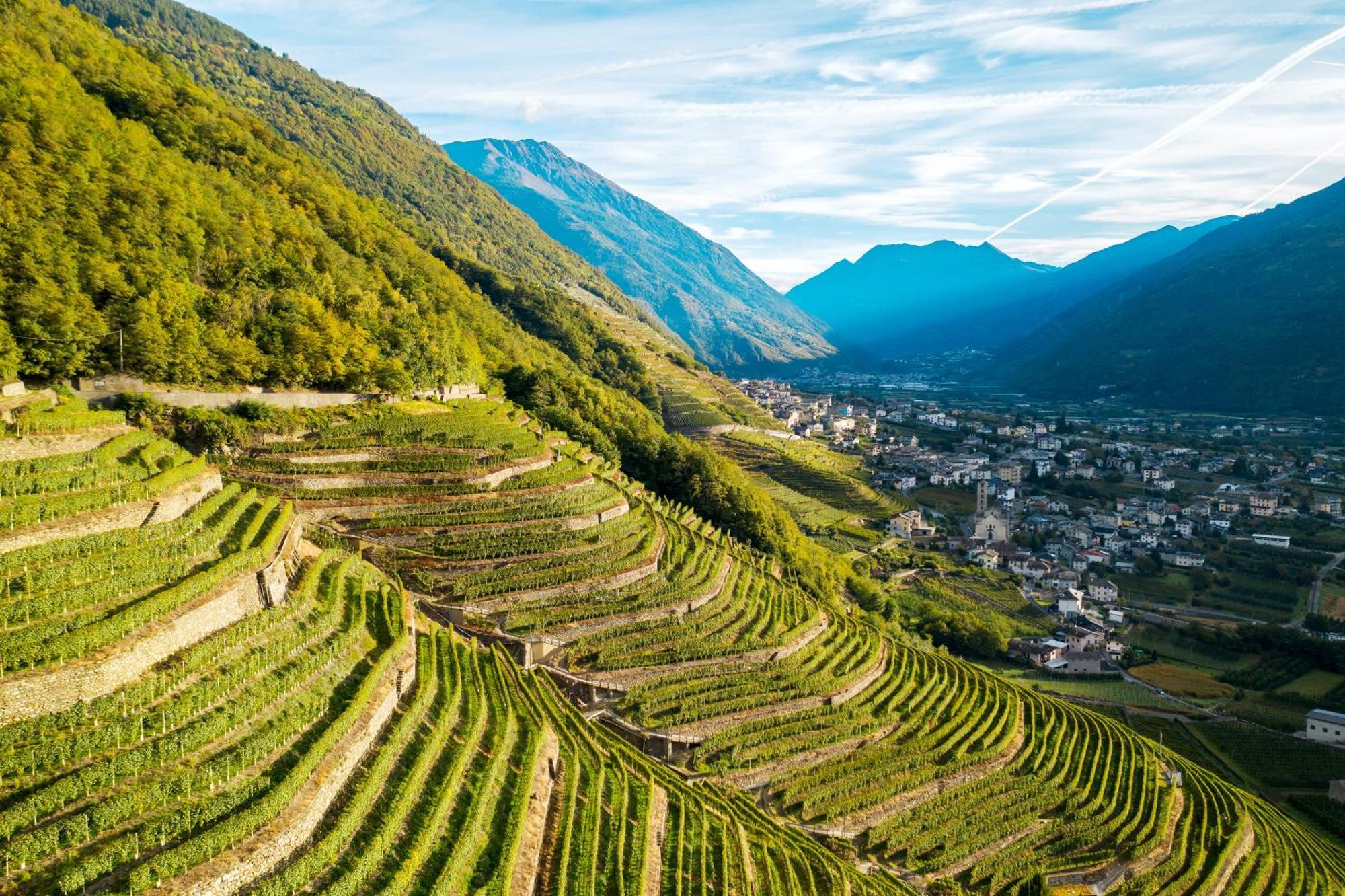 Agriturismo B&B Caffe E Vino Sondrio Eksteriør billede